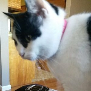 Meet your Posher, Amber